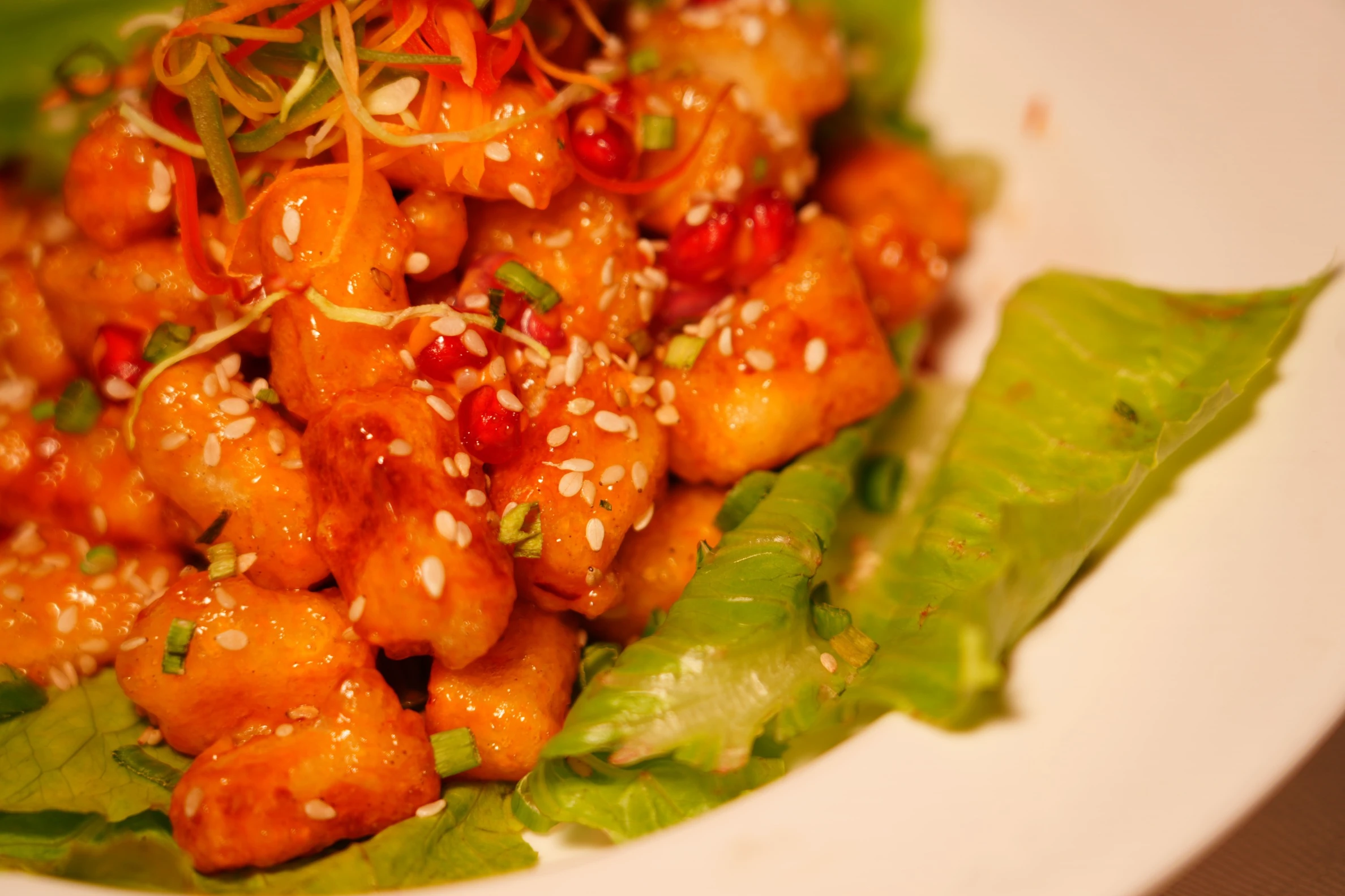 Exotic Chilli Paneer